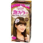 LIESE KAO Japan Prettia Bubble Hair Color Royal Brown