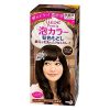 LIESE KAO Japan Prettia AWA Hair Color Natural Brown