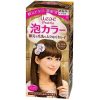 LIESE KAO Japan Prettia Bubble Hair Color Royal Brown